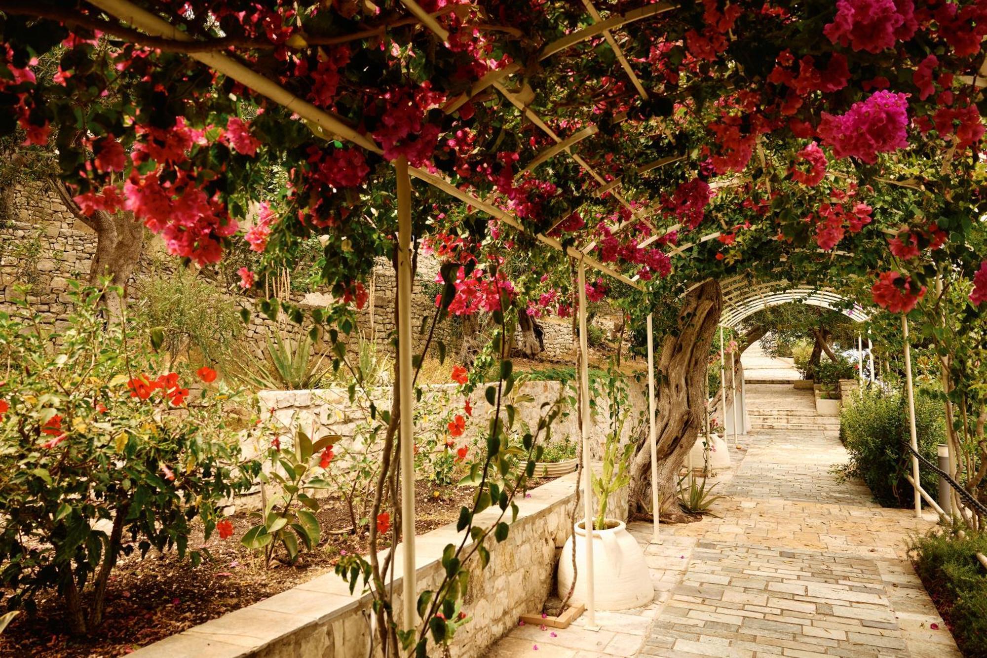 Agali Hotel Paxos Οζιάς Εξωτερικό φωτογραφία
